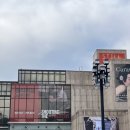 한가람통신 | 서울 전시 예술의 전당 한가람디자인미술관 퓰리처상 사진전 후기