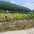 전원회관