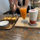 춤추는염소들 티스토리