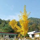 만인산 만인사 이미지