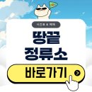 땅끝마을 | 땅끝정류소 시간표 버스 예매 총정리(2026)