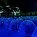 신사대화로 이미지