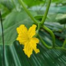 진형농장 이미지