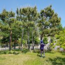 진해물재생센터 테니스장 이미지