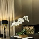 라스칼라 | 부산 해운대 맛집 파라다이스호텔 라스칼라 디너 후기