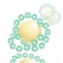 (주)위코퍼레이션 | 라이킷 씬덱스 효능 내돈내산 후기 성분 홈쇼핑 가격 다이어트 효과