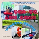 뚱스주방 | 대관령펜션 추천, 평창 펜션 스테이 루체포레, 불멍과 함께한 감성 대형풀빌라 후기