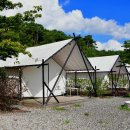 잔디마당 자동차 야영장 이미지