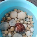 소원펜션 이미지