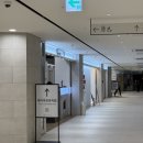 일상의집 | 평범한 하루의 온도 : 헤일리 티프먼[일상의온도] 전시회 후기