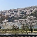 정영선의 철학이 정원이 되다, 호암미술관 ‘희원’ 이미지