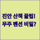 맨션531펜션 | 전북 진안 반려견 산책 명소 진안종합운동장 이용 팁과 무주 애견 동반 펜션 시설 후기 분석