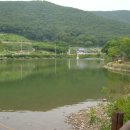 꽃무릇공원 이미지