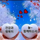 화일지 이미지