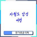 배가정원민박 | 자월도 여행 가이드 추천 최고의 이색섬 체험
