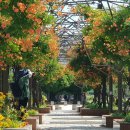 부천중앙공원 이미지