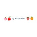 과일비행기