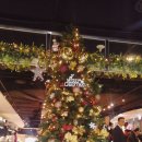 역촌동걷고싶은거리 이미지