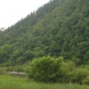 고요한아침 강가 이미지