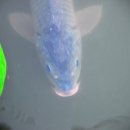 물속풍경 이미지