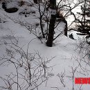 오색광고