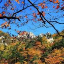 포항장성고등학교 이미지