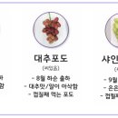 오하포도농원