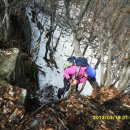 동막농장 이미지