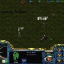 인스네어(ENSNARE) Daum카페