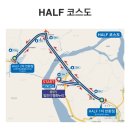 통일대교 | 초보러너의 2025 파주 평화통일마라톤 후기 (제 공식 첫마라톤이라죠ㅋ)