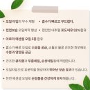 미네네일 - 아산시 삼동로40번길 6 | 미네네일