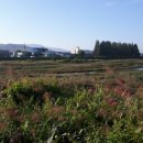 현대재활용상사 이미지