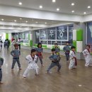 용인대대동태권도 네이버블로그