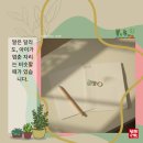 인수학교습소 - 은평구 응암로34가길 18 | [민락동 수학학원] 2026년, 정답만 맞히면 '위기'인 이유 (담해수학의 교육 표준)