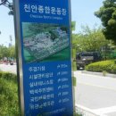 종합운동장 다목적구장 Daum카페