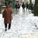 서호동-47 이미지