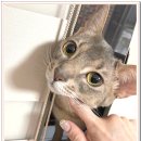 아이조아요양보호소 안양점 이미지