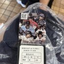 삼식이네푸드 | [부산 사직역]부산 롯데 사직야구장 먹거리 안내판 사직 52블럭 8열 23번 시야 후기!