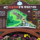 무릉도원수목원 이미지