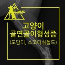 도담메디컬 이미지