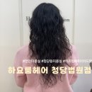 동두천법원((미용실앞) | 다시 돌아온 히피펌 정착 후기! 천안미용실 청당동미용실 [하요룸헤어 청당법원점]