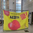 어린이 베스트셀러 뮤지컬 사과가 쿵 | 아기그림책 베스트셀러 "사과가 쿵!" 뮤지컬, 26개월 아기도 이해하기 쉬운 입문용 뮤지컬로 추천