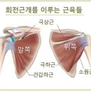 바른움직임 이미지