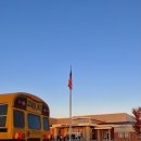 블루버드 이미지