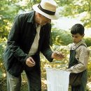 마리포사 이미지