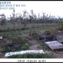 임곡보건진료소 이미지