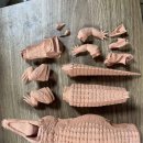 사르코수쿠스 이미지