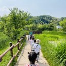 트인아이유치원 네이버블로그