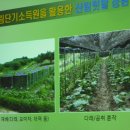 레이호 이미지