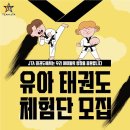 석사 비호태권도장 이미지